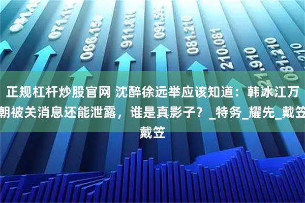 正规杠杆炒股官网 沈醉徐远举应该知道：韩冰江万朝被关消息还能泄露，谁是真影子？_特务_耀先_戴笠