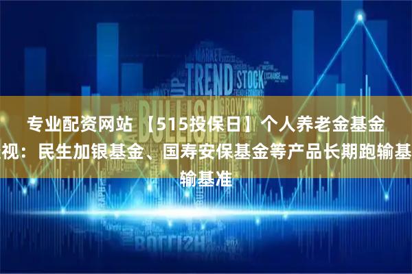 专业配资网站 【515投保日】个人养老金基金透视:民生加银基金、国寿安保基金等产品长期跑输基准